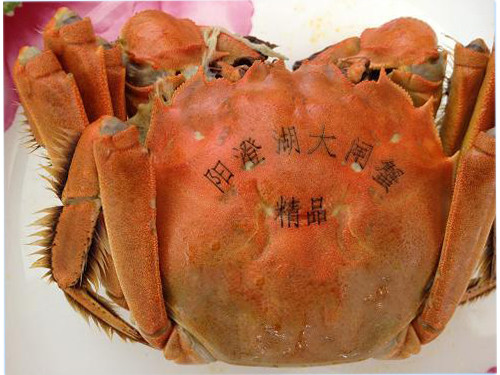 非金屬加工打標樣品